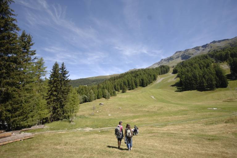 Panorama depuis Plan Bois image2