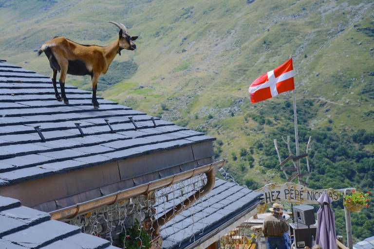 Chez Pépé Nicolas, Alpine farm image2