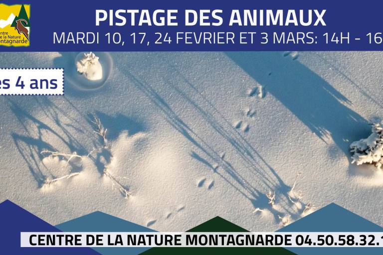 Pistage des animaux image2