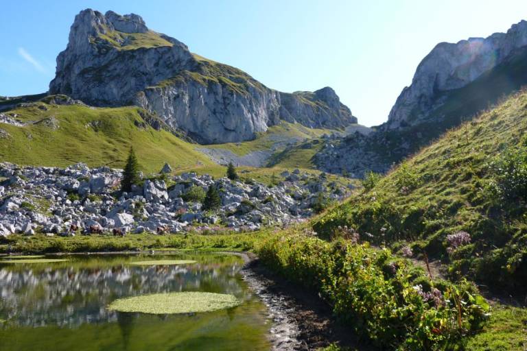Lac de la Case image1