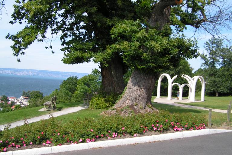 Farquenoud pump room image2