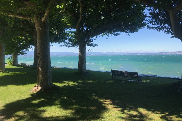 Miroir Park image1