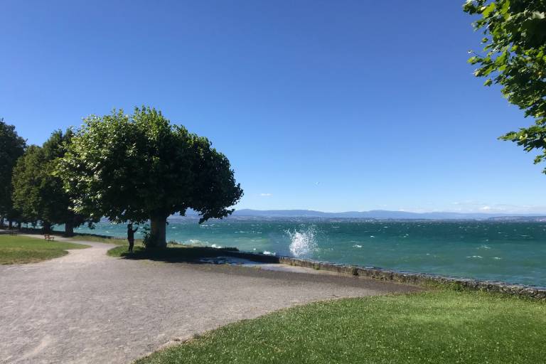 Miroir Park image2