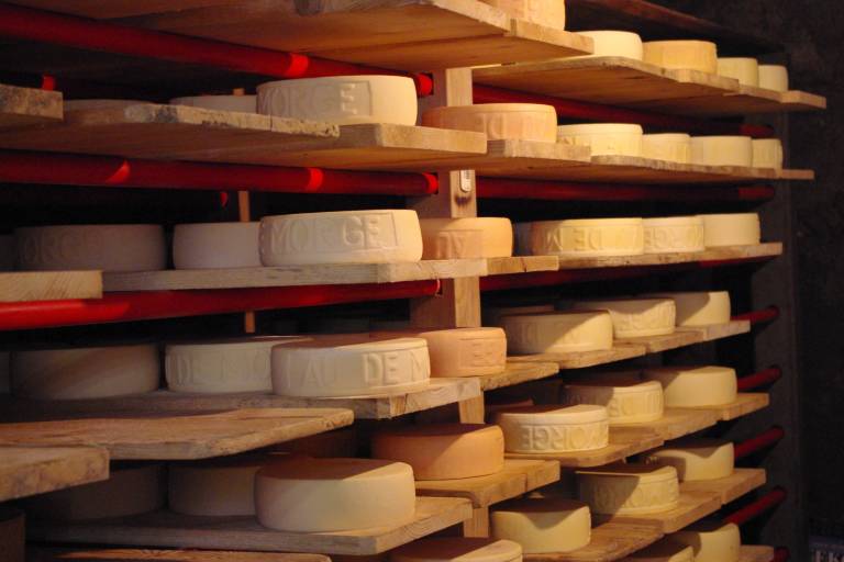 Alpage de l'Au-de-Morge image1