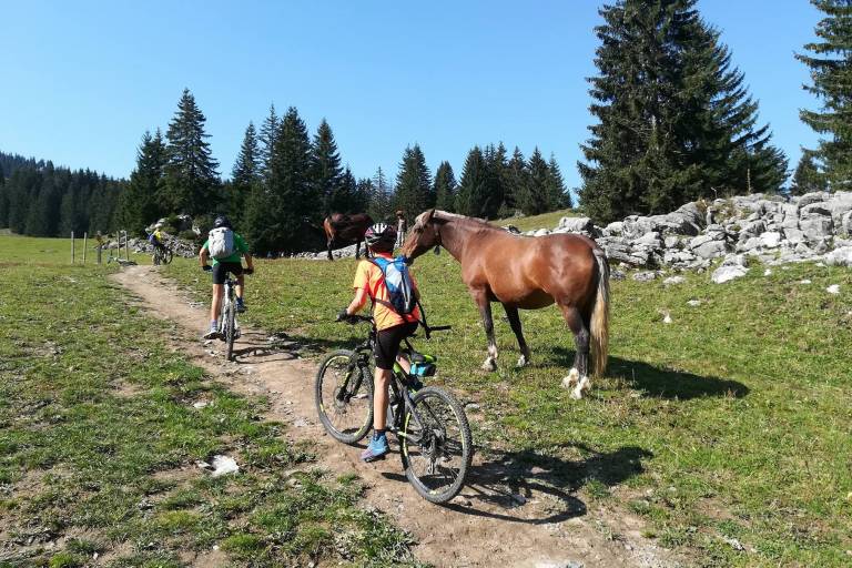 VTT : cours pour les 8-12 ans image2