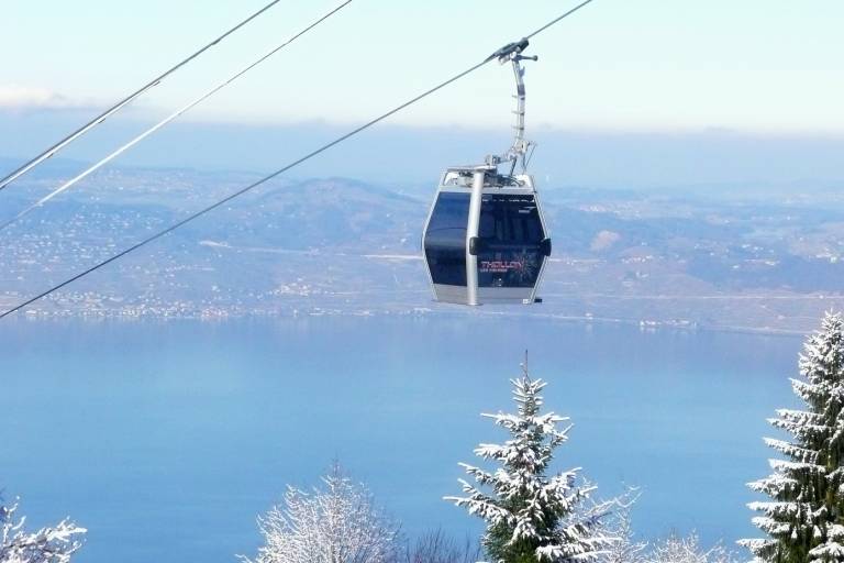 The Mémises' Cable Cart image1