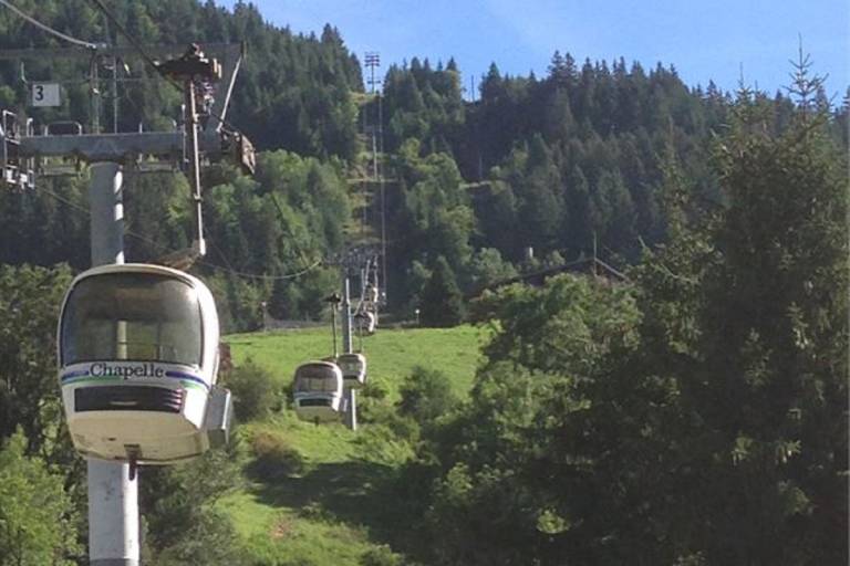 La Panthiaz gondola image2