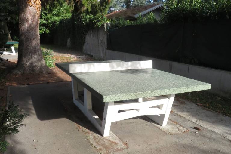 ping pong image2
