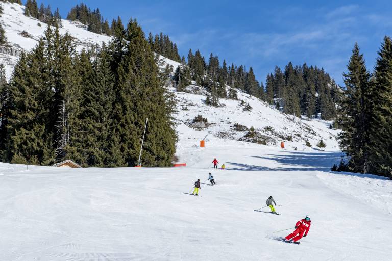 Sortie Portes du Soleil image1
