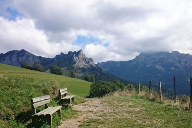 Balade Sophro régénérante sur le sentier du Mont Bénand image1