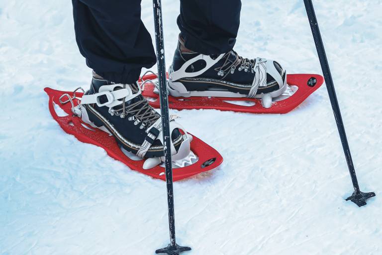 Randonnée raquettes encadrée au plateau de Savolaire avec Martine Dupont image1