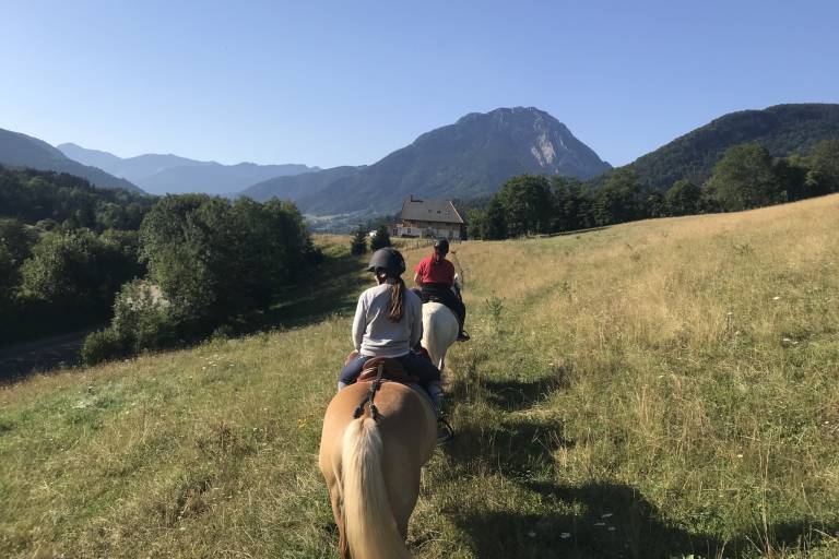 Centre Equestre des Bauges (Riding Centre) image1