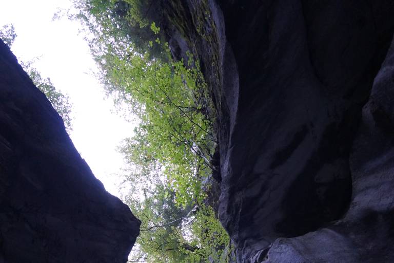 Les Gorges des Tines image2