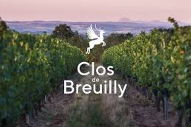 Clos de Breuilly - Location de salle image1
