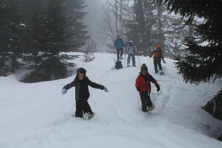 Raquettes à neige à la carte image2