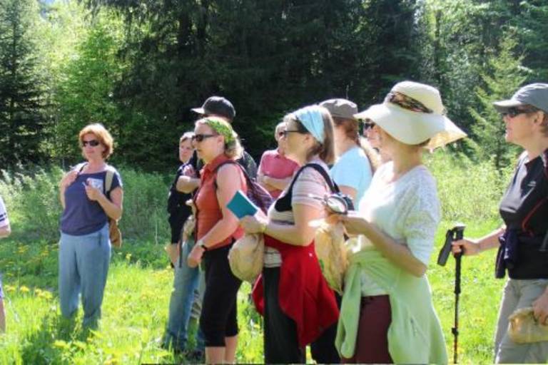 Understanding and using plants with Cédric Cordonnier image1