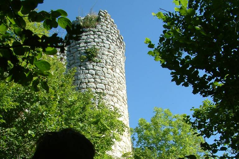 Les ruines du château de Mauchamp image1