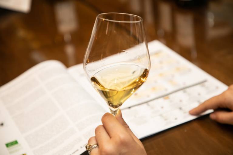 Atelier "Vin & saveurs d'automne" - M.CHAPOUTIER image2