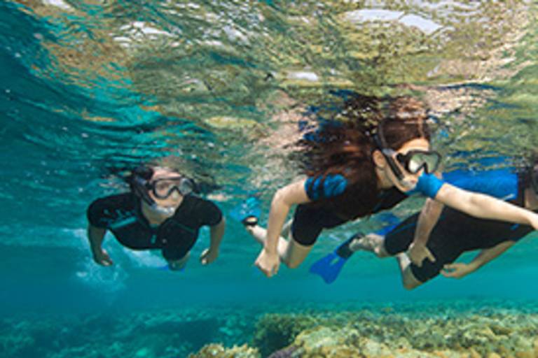 Snorkelling with Lecques Aquanaut Center image2