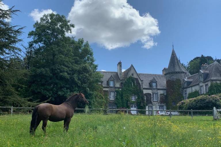 Tregaray Manor image1