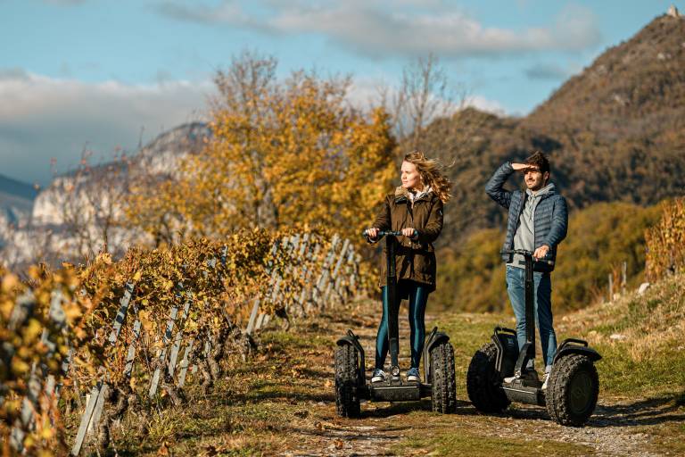 Balade en Segway dans les vignobles et dégustation image1