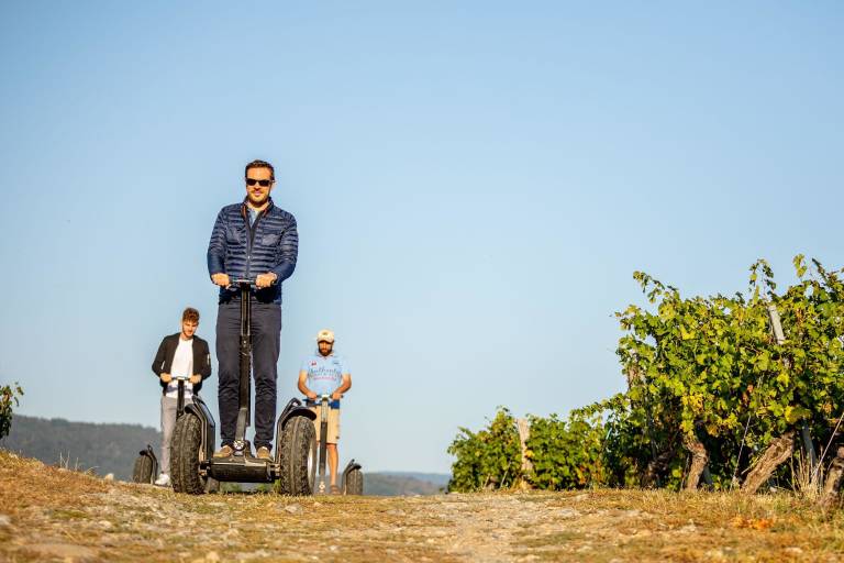 Balade en Segway dans les vignobles et dégustation image2