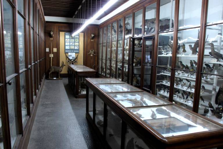 Museum of Natural History image2