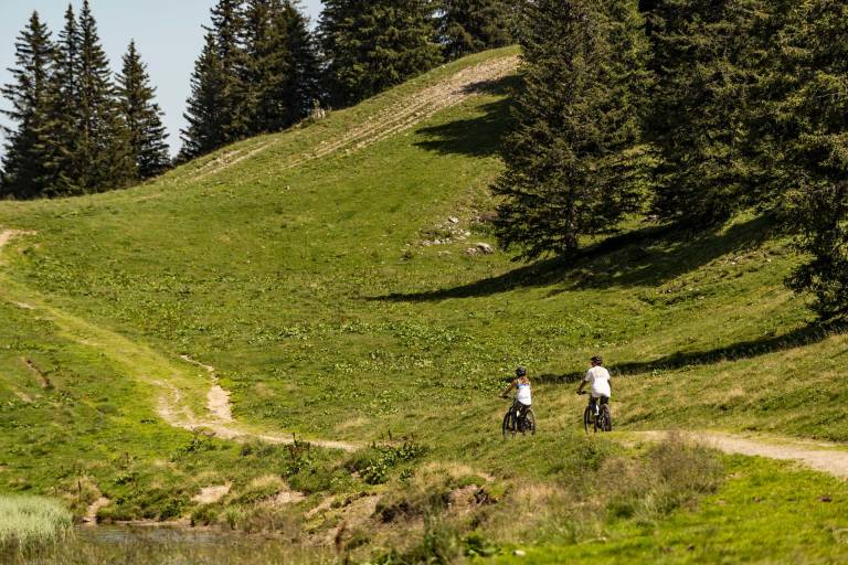 Supervised tour on enduro MTB or e-bike in Valais (Zwitzerland) image1