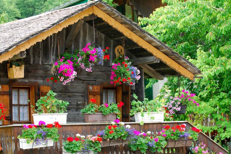 Les chalets traditionnels image2