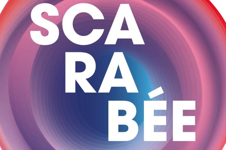 Le Scarabée image1