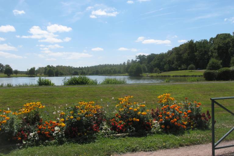 Étang Le Pré Verne image2