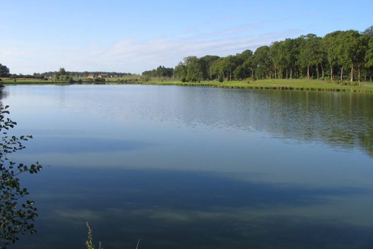 Étang Le Pré Verne image1