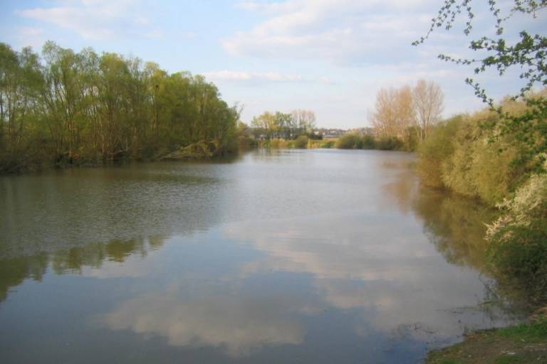 Boire du Verdelet image1