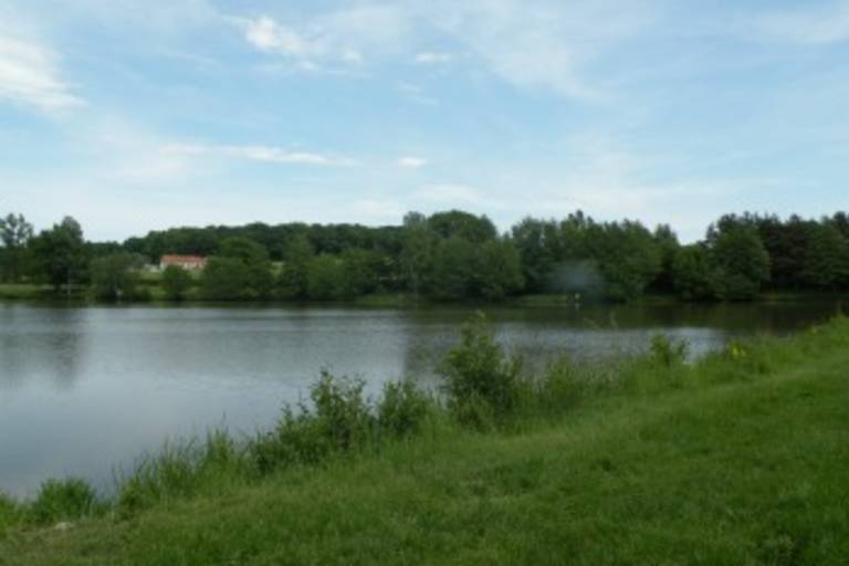 Étang de Champvallier image1