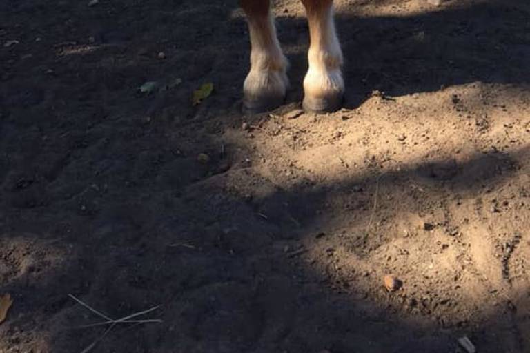 Equ'yz Nature image2