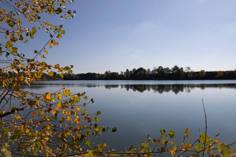 Plan d'eau Les Champs de l'Ile image2