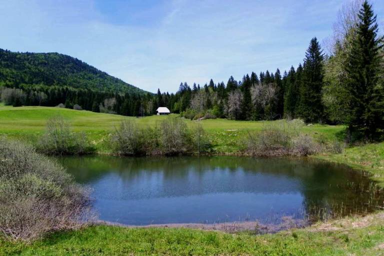 Etang du Mariet image1