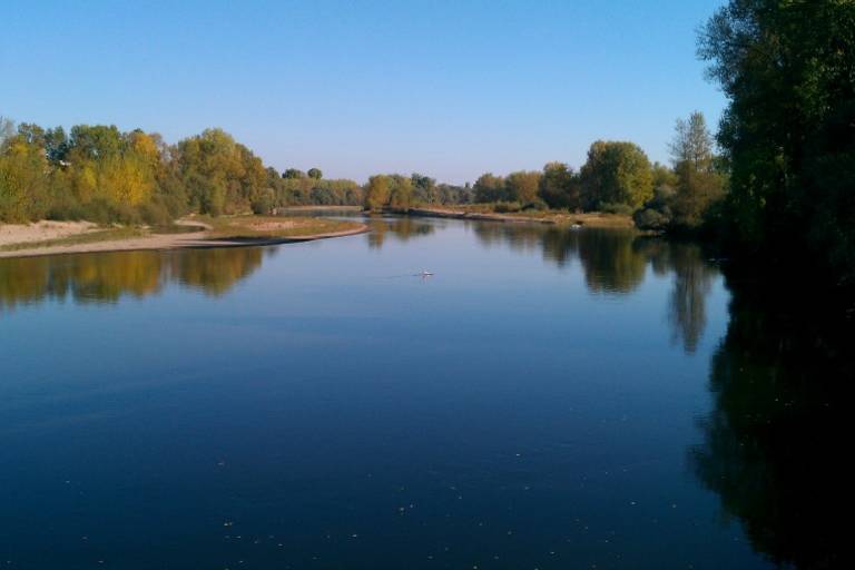 Réserve naturelle nationale du val d'Allier image2