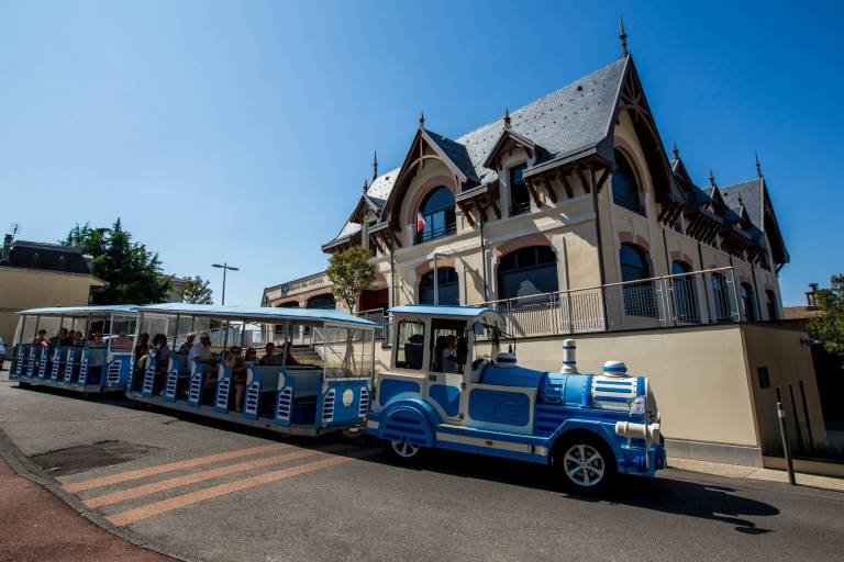 The tourist little train image1