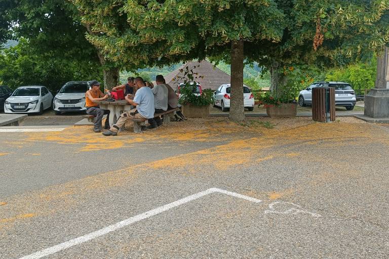 Aire de pique-nique, Grésin image2