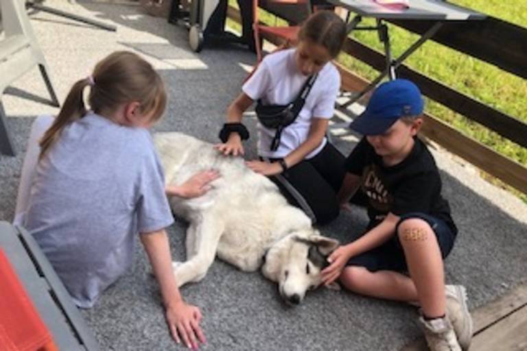 Hiking with huskies image2