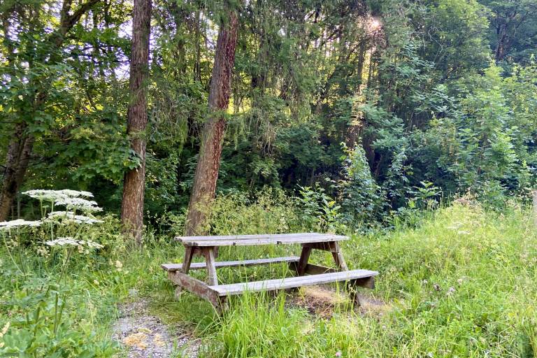 Aire de Pique-nique de Tigny image1