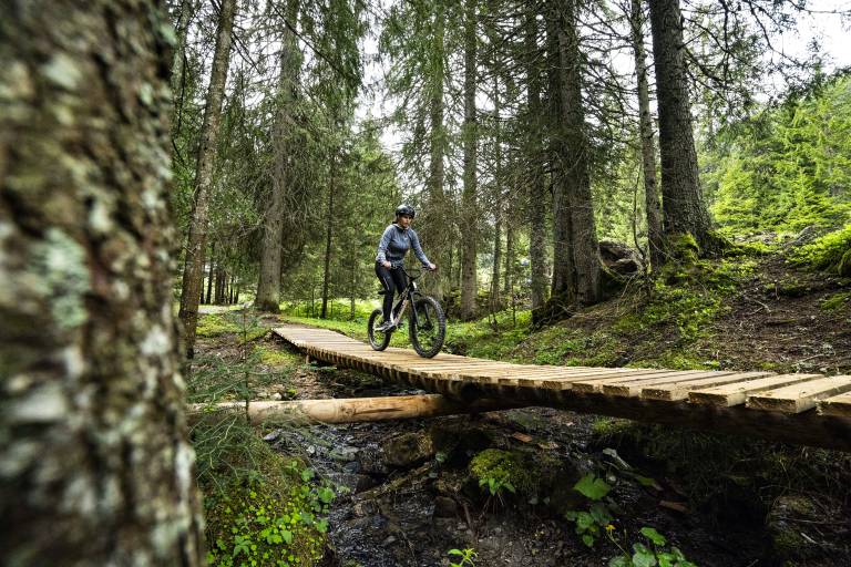 Bike Park First Wheel image1
