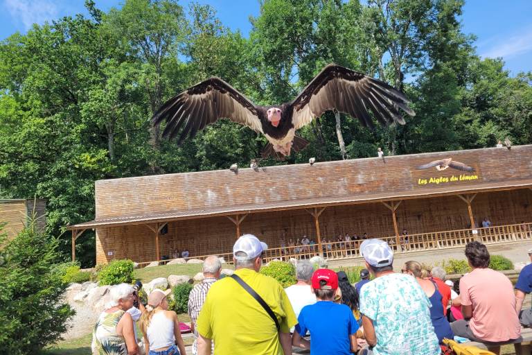Les Aigles du Léman image1