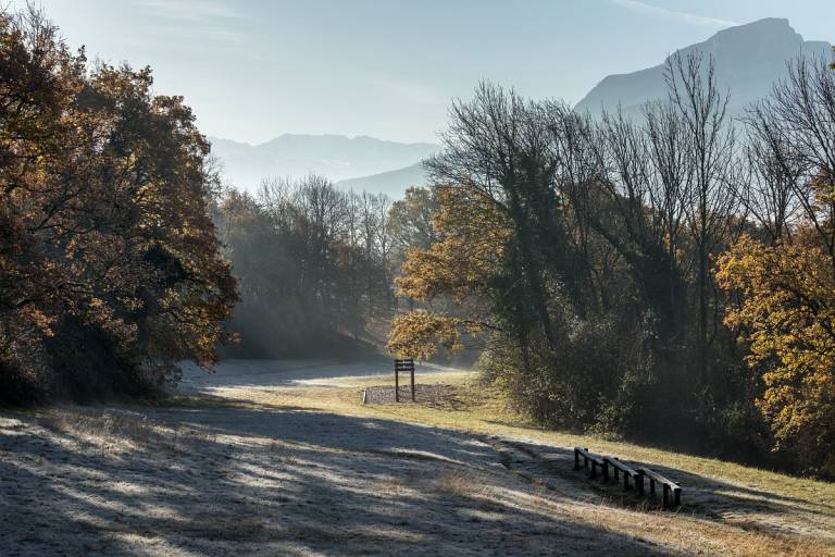 Forêt des Monts image1