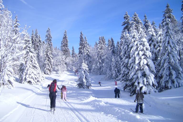 Nordic area in Les Aillons-Margériaz 1400 image1
