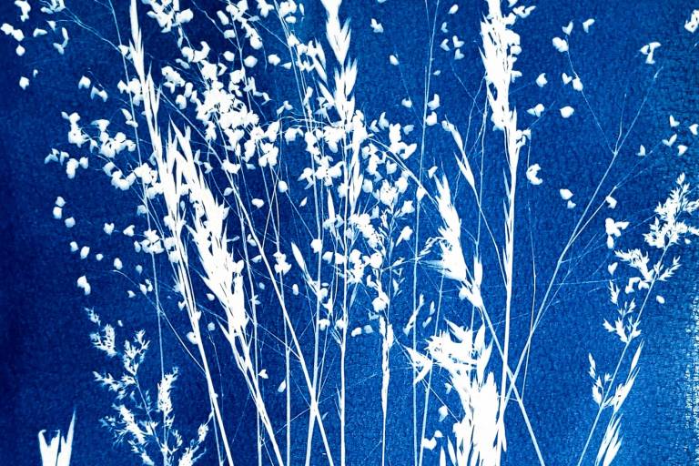 Cyanotype workshop image1