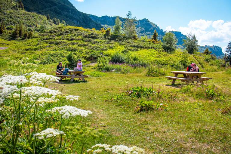 Lac de Vernant picnic area image2
