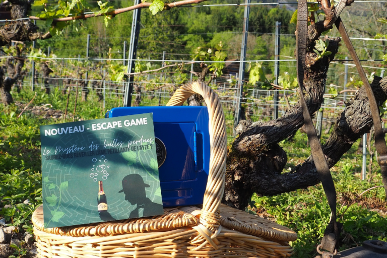 Escape Game & Vélo-Vignes image1