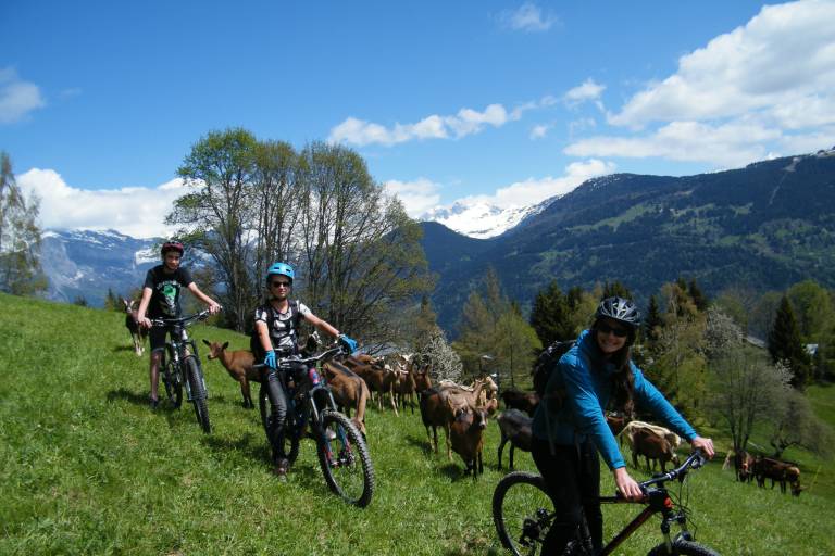 Sortie accompagnée en VTT image2